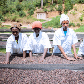 ルワンダ　ンゲラ・ウォッシングステーション　アナエロビック