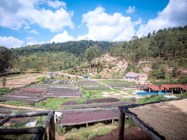 ルワンダ　ンゲラ・ウォッシングステーション　アナエロビック