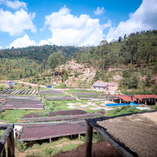 ンゲラ・ウォッシングステーション