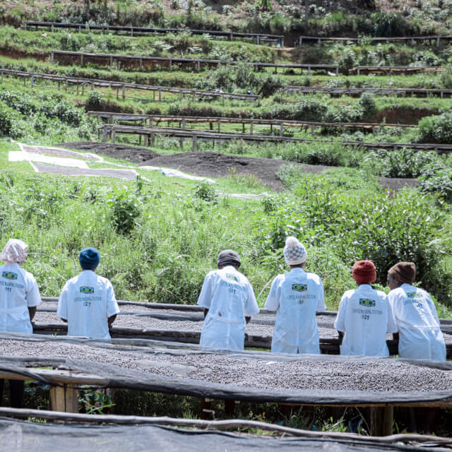 持続可能なコーヒーと文化を