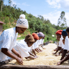 ルワンダ　ンゲラ・ウォッシングステーション　ハニー