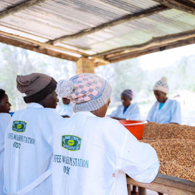 持続可能なコーヒー、そして文化を