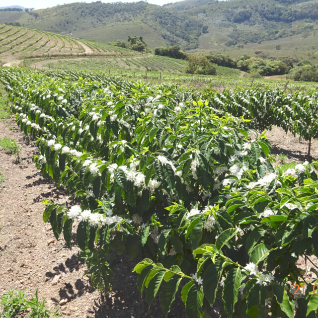 夫婦の第2の人生