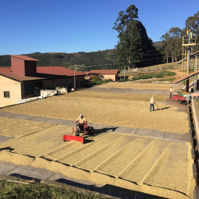 高品質なコーヒー生産に向けて