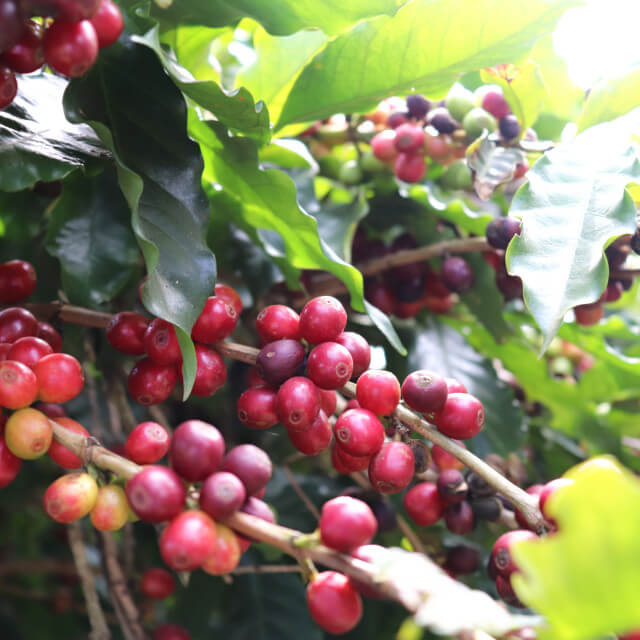 様々な社会的取り組み