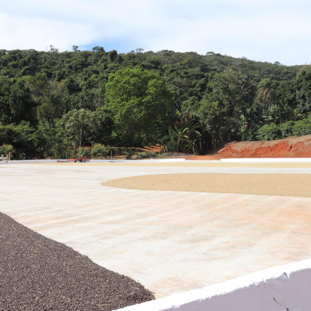 BANGAコーヒープロセス