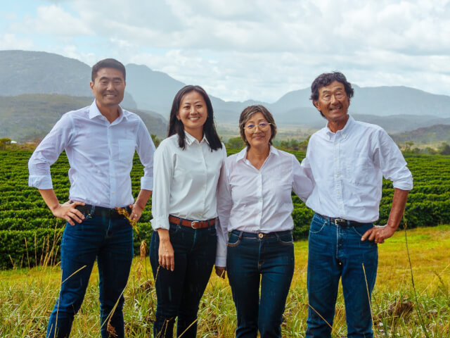 ブラジル　フクダ農園　ブルボン　ナチュラル