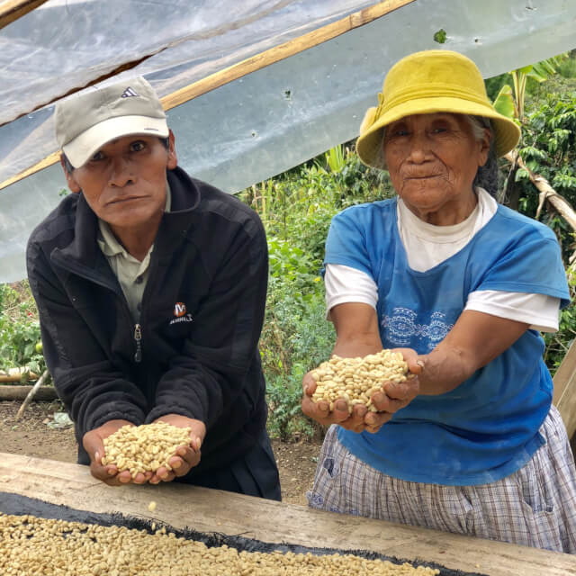 南部のボリビア国境近くから