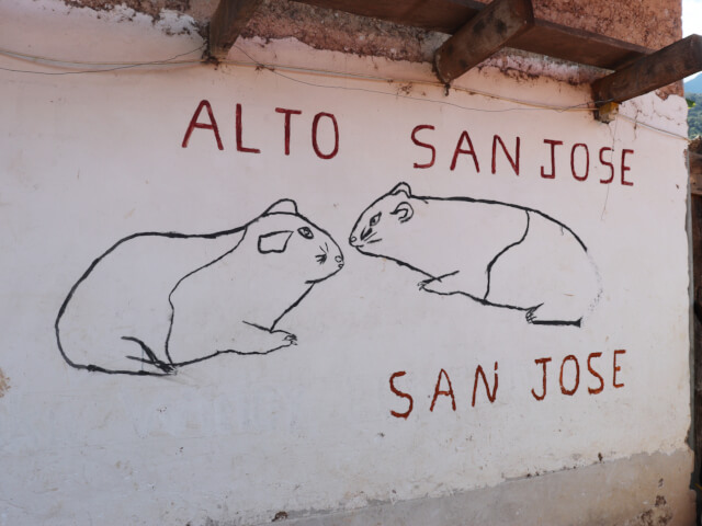 ペルー　アルト・サンホセ　アナスタシオ・ママニ