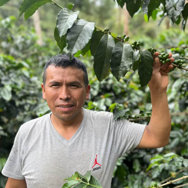 アルト・サンホセ農園