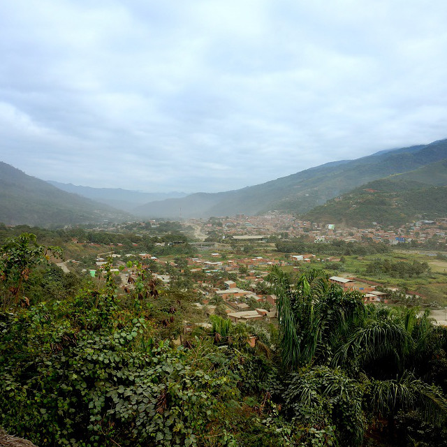 スペシャルティコーヒーの生産を志して