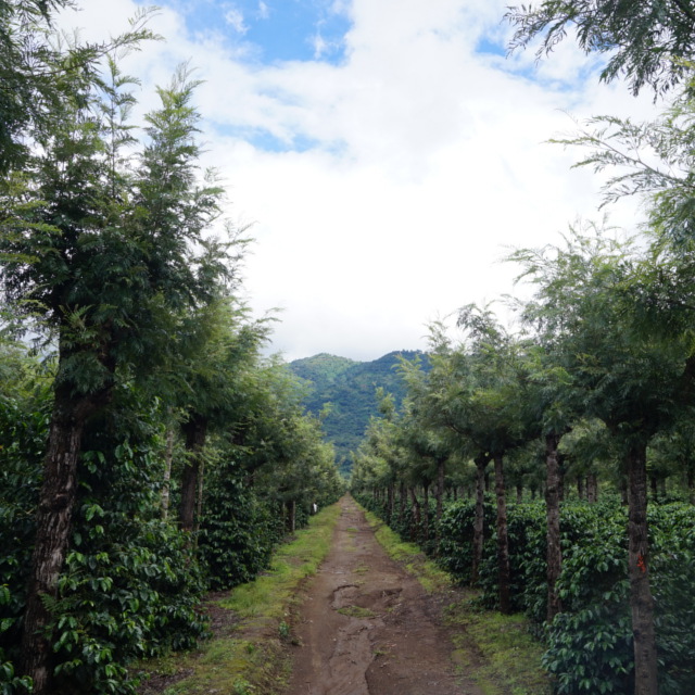 3つの火山に囲まれて