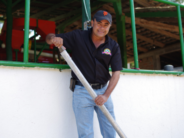 ニカラグア　ブエノスアイレス　カトゥーラ