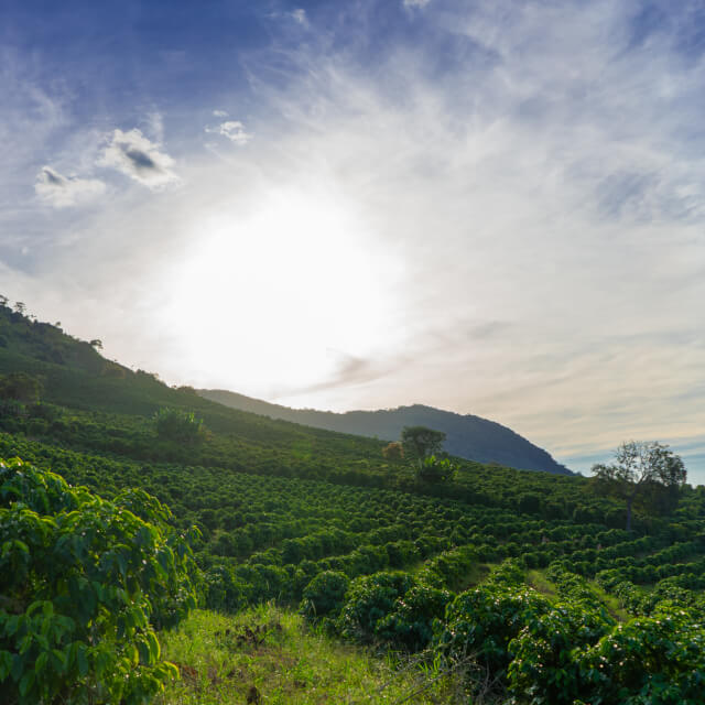 ポッソス・ジ・カウダス