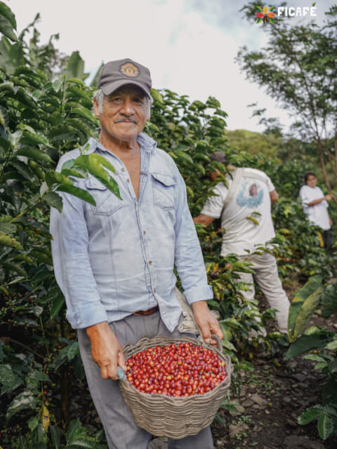 ペルー COE2025 #18 サンタ・テレサ ゲイシャ ナチュラル