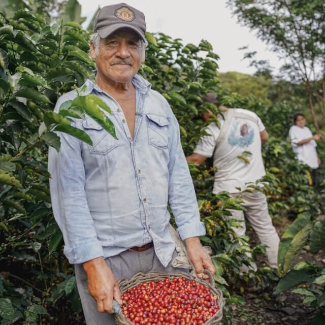 学びと挑戦を重ねて