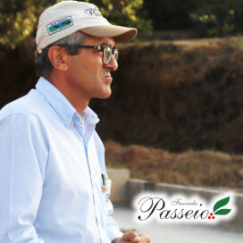 ブラジル　パッセイオ農園　イカツ　ナチュラル