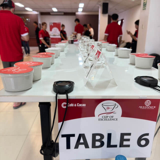 Peru COE2024