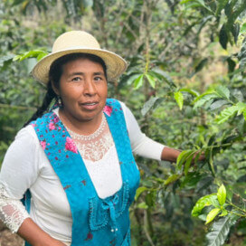 ペルー　マルセリナ・ペラルタ　ブルボン