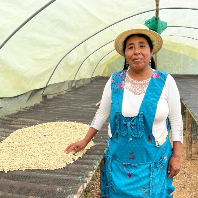 ヌエヴォ・オリゾンテ農園