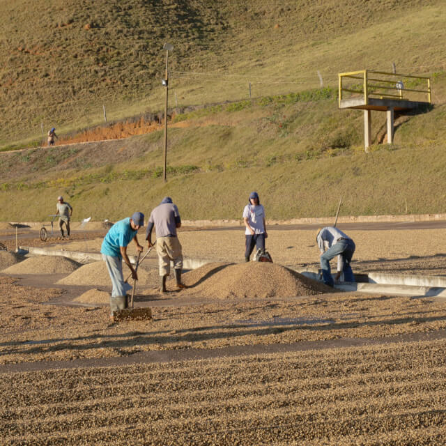 地域をあげた品質向上への取り組み