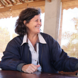 ブラジル　ファゼンダ・カッシャンブー　アララ　ハニー