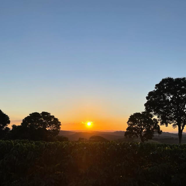 持続可能な開発目標-SDGs