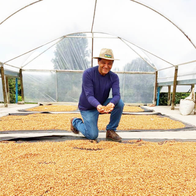 Agricafeでの活動