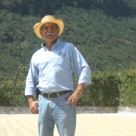 グアテマラ　エルインヘルト農園　マグノリア　ナチュラル