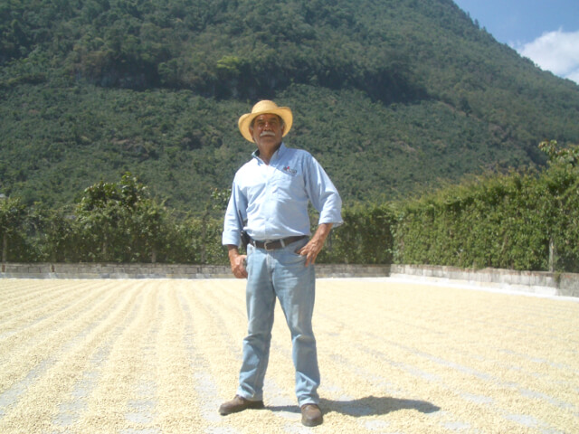 グアテマラ　エルインヘルト農園　ブルボン100％