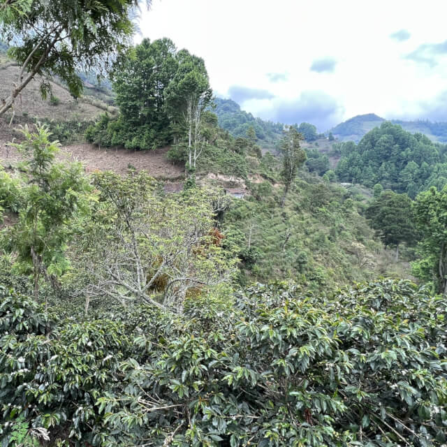 ホンジュラスの秘境地