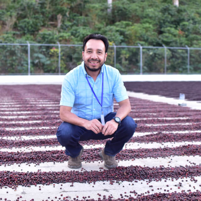 PRISMA COFFEE ORIGINS