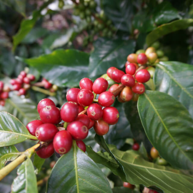 恵まれた環境を大切に