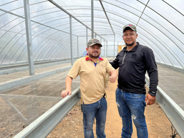 ホンジュラス　ククルチョ ゲイシャ ウォッシュド