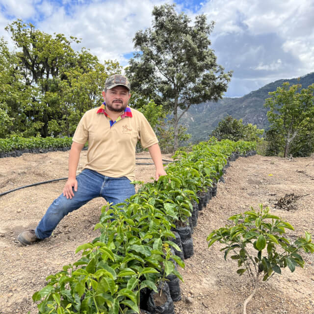 ククルチョ農園