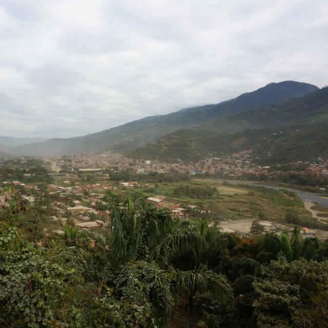 ボリビアのスペシャルティコーヒー