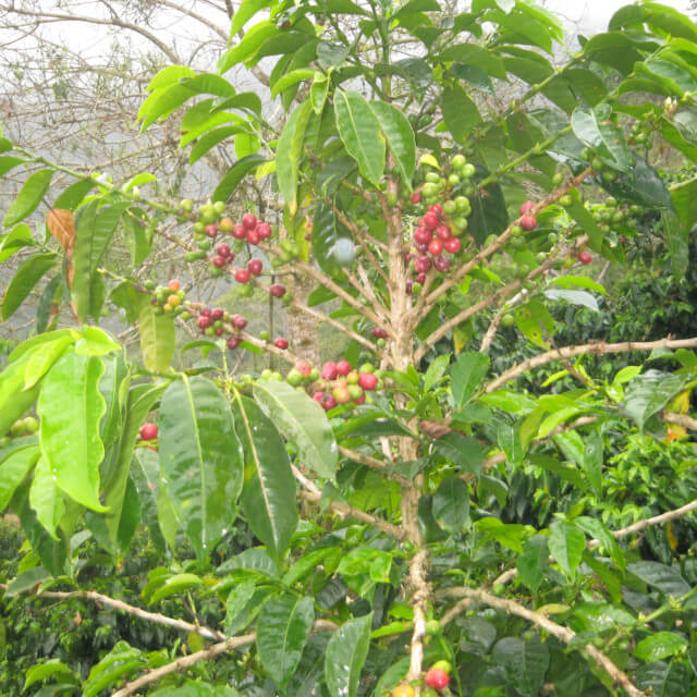 COE受賞を誇りに