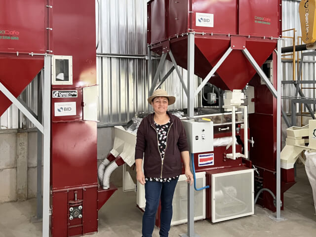 コスタリカ ファラミ ティピカ レッドハニー