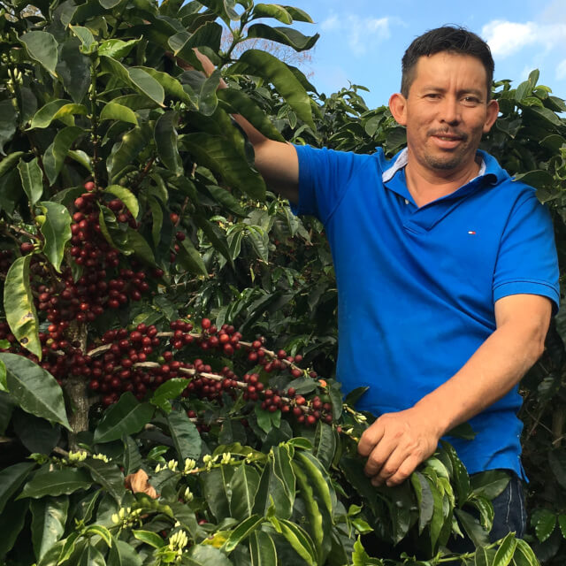 さび病と闘いながら