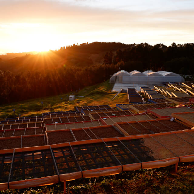 シュマバ・マイクロミル