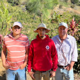 コスタリカ　ドン・オスカル　エル・コヨーテ　シドラ　イエローハニー