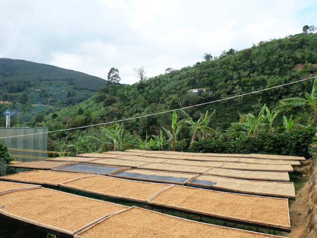 コスタリカ　ドン・オスカル　エル・コヨーテ　ビジャロボスYH