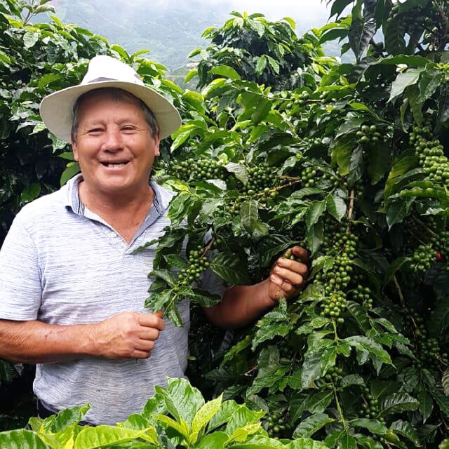 タラスの勤勉な生産者ファミリー