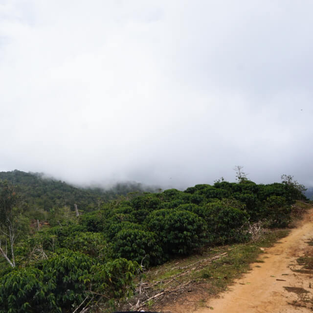 プリンセサとの出会い