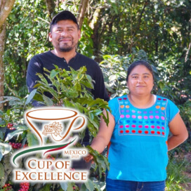 メキシコ COE2025 EXP#6 ティエラ・アマリージャ