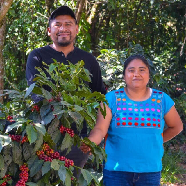ティエラ・アマリージャ農園