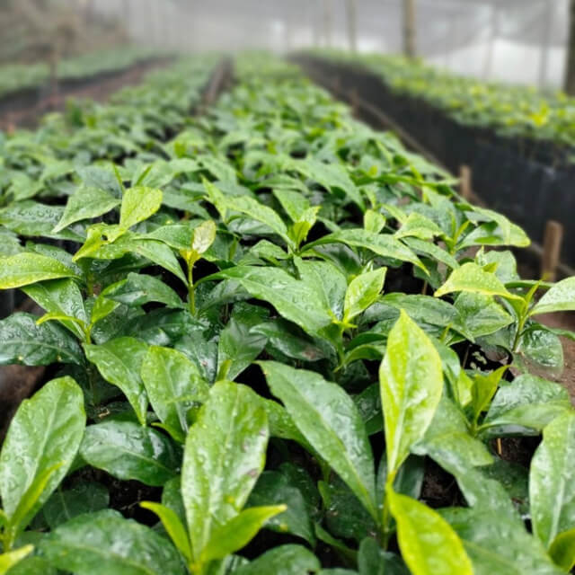 革新的な手法を取り入れて