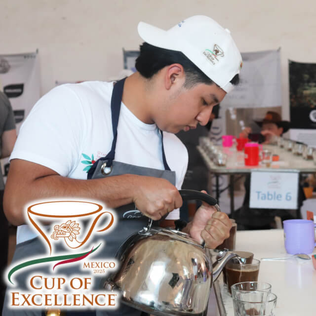 2025年メキシコCOE