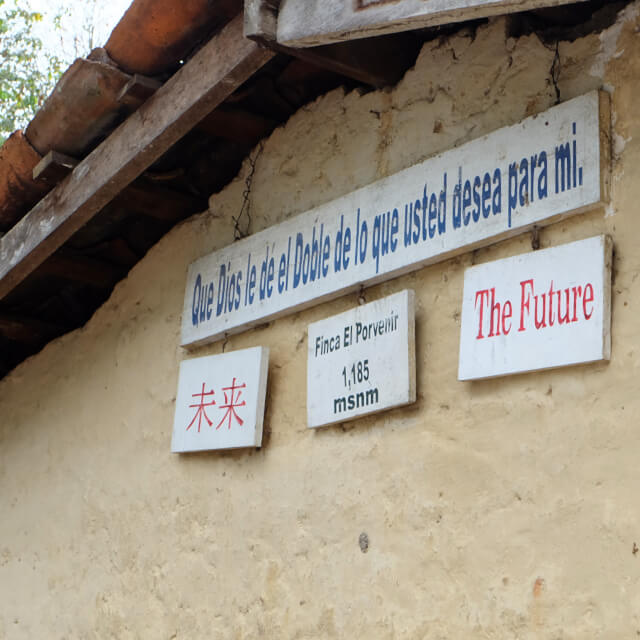 未来を照らすポルベニール農園