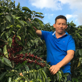 ホンジュラス　バーニャデロス　ゲイシャ　ウォッシュド